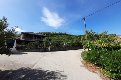 Lamprakis Winery